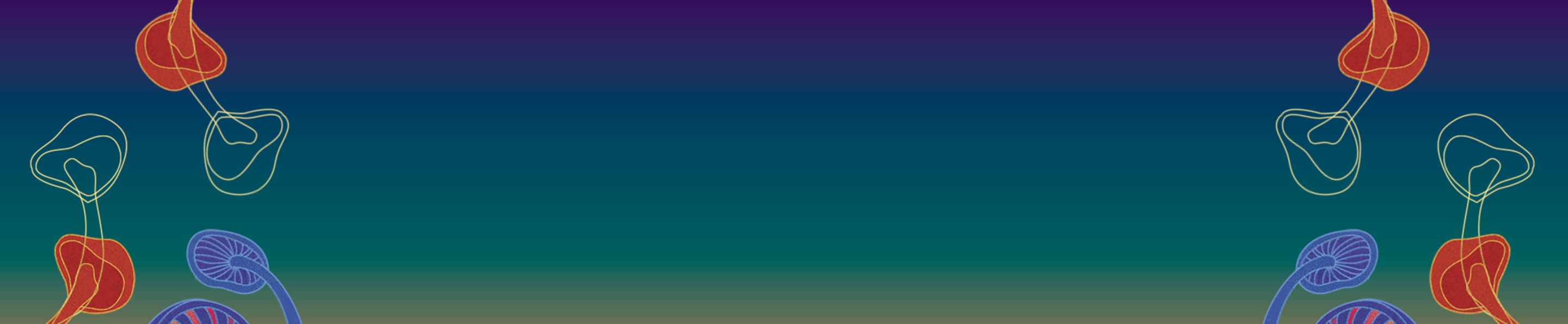 Insights Header Background